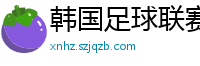 韩国足球联赛